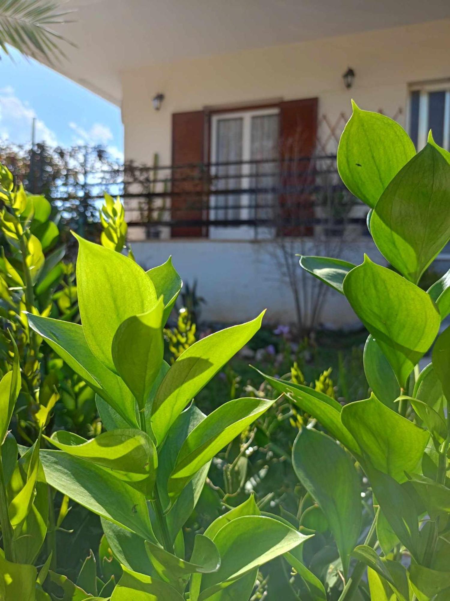 נאפפליו Serene Country House מראה חיצוני תמונה